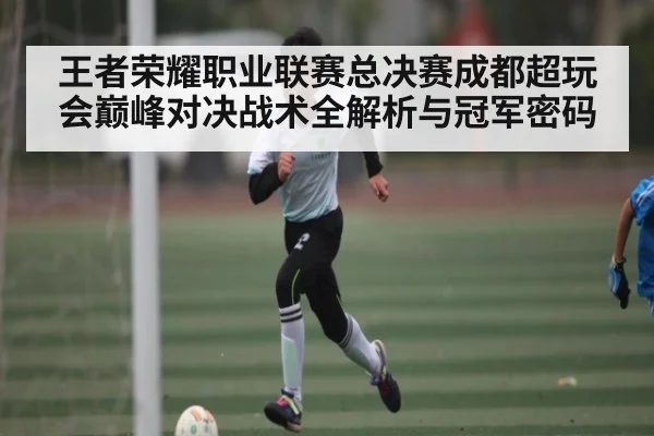 王者荣耀职业联赛总决赛成都超玩会巅峰对决战术全解析与冠军密码 | kaiyun